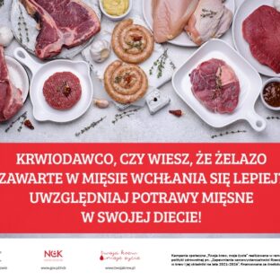 Uzupełnianie żelaza