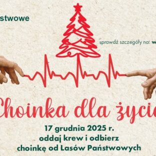 Choinka dla życia